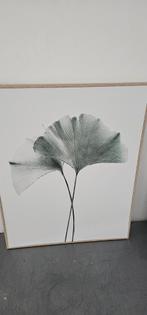 Botanische Print met Ginkgo Bladeren, Huis en Inrichting, Woonaccessoires | Schilderijen, Tekeningen en Foto's, Minder dan 50 cm