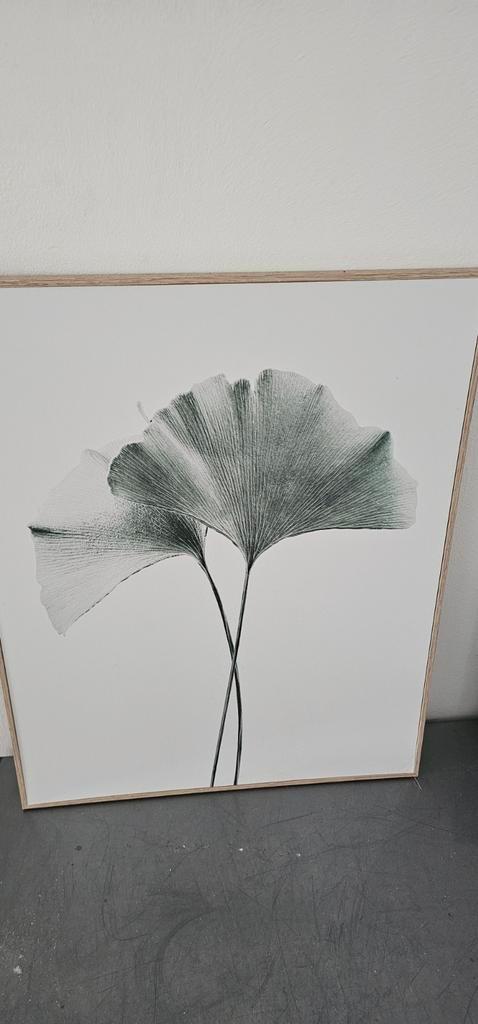Botanische Print met Ginkgo Bladeren, Huis en Inrichting, Woonaccessoires | Schilderijen, Tekeningen en Foto's, Zo goed als nieuw