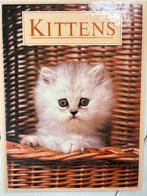 Kittens, Ophalen of Verzenden, Zo goed als nieuw