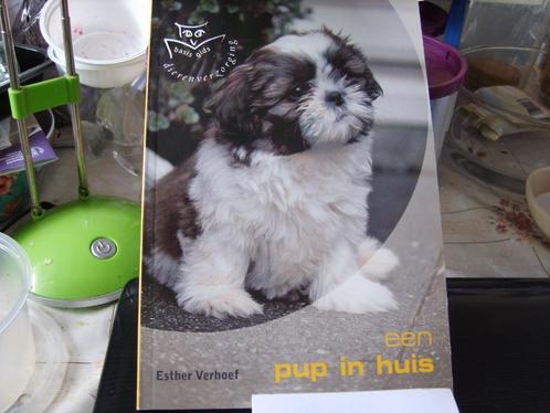 Een pup in huis, Boeken, Dieren en Huisdieren, Nieuw, Honden, Ophalen of Verzenden