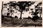 Udenhout - Udenhoutse Duinen (1950), Verzamelen, Ansichtkaarten | Nederland, Verzenden, 1940 tot 1960, Gelopen, Noord-Brabant