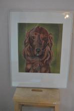 Krijttekening, hond, Ophalen