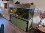 Groot aquarium 150-60-60 compleet, Ophalen, Zo goed als nieuw, Leeg aquarium
