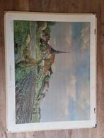 Terp Niehove, Antiek en Kunst, Antiek | Schoolplaten, Ophalen of Verzenden, Aardrijkskunde