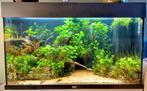 Juwel rio 125 incl. aquascape, Helialux, CO2 & benodigheden, Ophalen, Zo goed als nieuw, Gevuld zoetwateraquarium