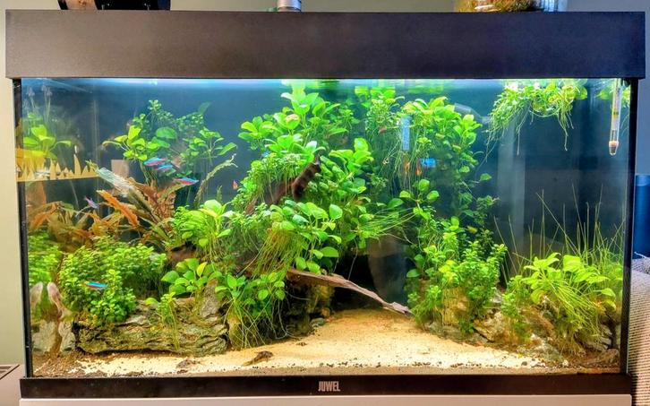 Juwel rio 125 incl. aquascape, Helialux, CO2 & benodigheden, Dieren en Toebehoren, Vissen | Aquaria en Toebehoren, Zo goed als nieuw