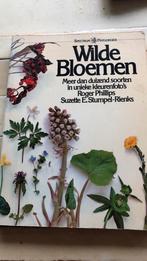 Wilde Bloemen, Ophalen of Verzenden, Gelezen, Bloemen, Planten en Bomen