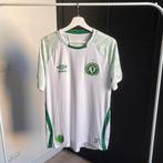 Chapecoense shirt, Buitenlandse clubs, Shirt, Verzenden, Zo goed als nieuw