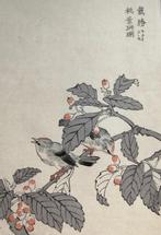 Japanse houtsnede van Kono Bairei - Vogel no. 3, Antiek en Kunst, Kunst | Etsen en Gravures, Ophalen of Verzenden