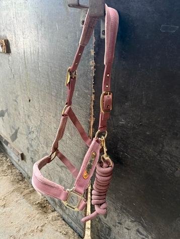 roze kentucky halster + touw maat cob beschikbaar voor biedingen