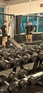 Lifemaxx PU dumbbells 12/14/16 kg sets, Ophalen, Gebruikt, ., Lifemaxx