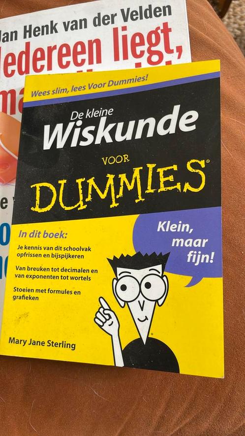 Mary Jane Sterling - De kleine wiskunde voor Dummies, Boeken, Wetenschap, Zo goed als nieuw, Ophalen of Verzenden