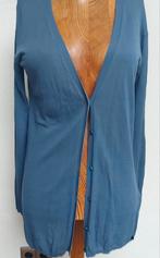 Ikks vestje L, Blauw, Maat 42/44 (L), Ophalen of Verzenden, Ikks