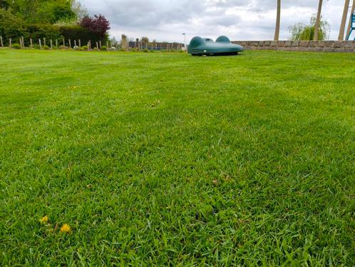 Belrobotics big mow bigmow robotmaaier direct inzetbaar, Tuin en Terras, Robotmaaiers, Zo goed als nieuw, Meer dan 25 cm, Ophalen