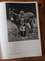 Wilhelmina fotoboek over haar leven uit 1948. Prijs 5,00, Ophalen of Verzenden, Gebruikt, Nederland, Kaart, Foto of Prent