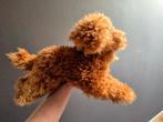 Folkmanis handpop puppet, poedel. Nieuw!, Ophalen of Verzenden, Nieuw, Hond