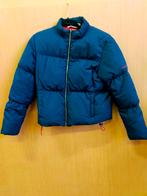 TOMMY HILFIGER dames winter jas, Ophalen of Verzenden, Zo goed als nieuw, Blauw