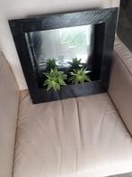 Leuke trendy spiegelkast., Ophalen of Verzenden