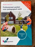 Pedagogisch Werk - Angerenstein Welzijn, Boeken, Ophalen, Zo goed als nieuw, Overige niveaus, Overige vakken