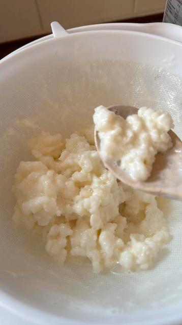 Kefir beschikbaar voor biedingen