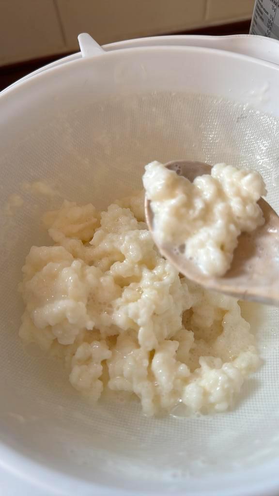 Kefir, Diversen, Levensmiddelen, Ophalen