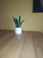 Gehaakte sanseveria/ slangen plant, Huis en Inrichting, Kamerplanten, Verzenden, Overige soorten, Minder dan 100 cm