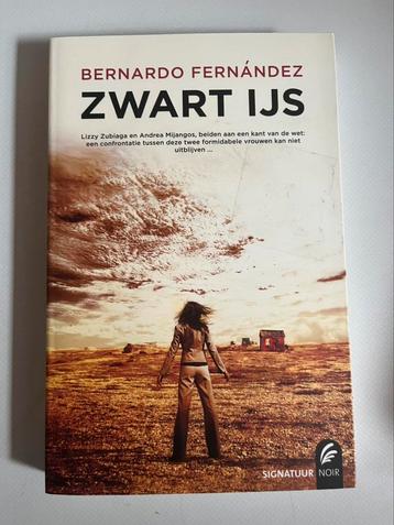 Bernardo Fernandez - Zwart ijs beschikbaar voor biedingen