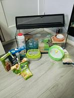 Knaagdieren hok van glas., Minder dan 75 cm, Zo goed als nieuw, Ophalen, Minder dan 60 cm