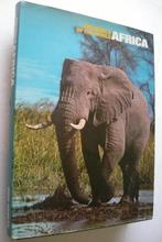 Animals of the World - Africa, Verzenden, Zo goed als nieuw, Vogels