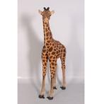 Baby Giraffe 190 cm - giraffe beeld