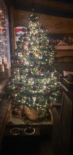 Kerstboom intratuin, Diversen, Kerst, Ophalen