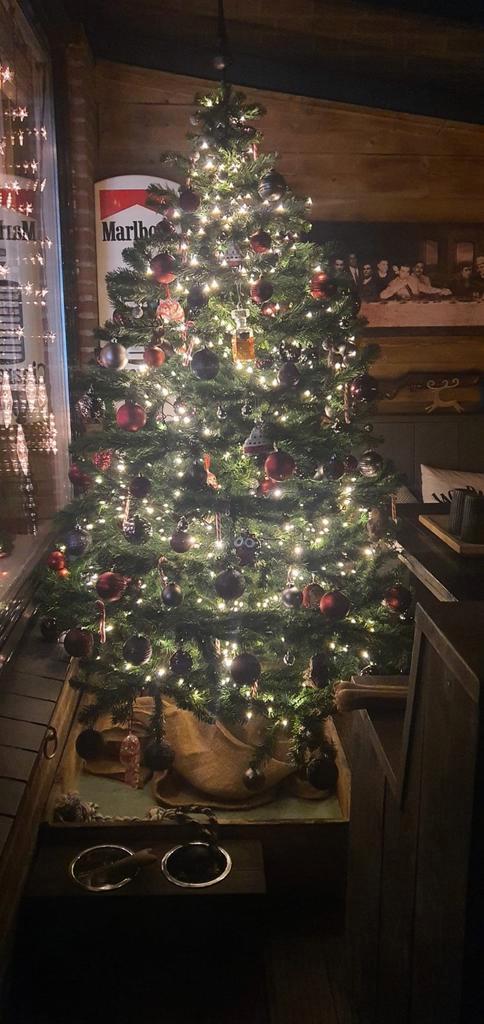 Kerstboom intratuin, Diversen, Kerst, Ophalen