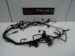 Kabelboom / Wire Harness Ducati Streetfighter 1098 / S 2009, Gebruikt, -, -, Ophalen of Verzenden