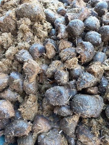 Paardenmest op vlas - Ideale bemesting! beschikbaar voor biedingen