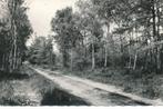 Ansichtkaart - Diever -Torenlaan, Verzamelen, Ansichtkaarten | Nederland, Verzenden, 1940 tot 1960, Gelopen, Gelderland