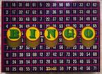 Bingo spel Papita met kaarten COMPLEET, Hobby en Vrije tijd, Gezelschapsspellen | Overige, Een of twee spelers, Ophalen of Verzenden