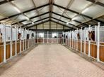 Stalling, Dieren en Toebehoren, Weidegang, 4 paarden of pony's of meer