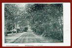 Doorn - Molenweg (toen nog een zandweg) - 1909 - Ong., Ophalen of Verzenden, Voor 1920, Ongelopen, Utrecht