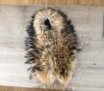 Bontkraag, Ophalen, Zo goed als nieuw