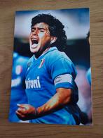 Foto Maradonna Napoli, Ophalen of Verzenden, Buitenlandse clubs, Poster, Plaatje of Sticker