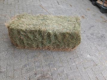 Kleine pakjes hooi, kleine balen, pakje beschikbaar voor biedingen