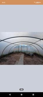 Tunnelkas, tunneltent 6x6,5 meter gegalvaniseerd frame 44mm, Tuin en Terras, Kassen, Gebruikt, Folie, Kweekkas, Ophalen