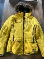 Skijas Dames - Dare2b - Geel, Geel, Ophalen of Verzenden, Zo goed als nieuw, Maat 42/44 (L)