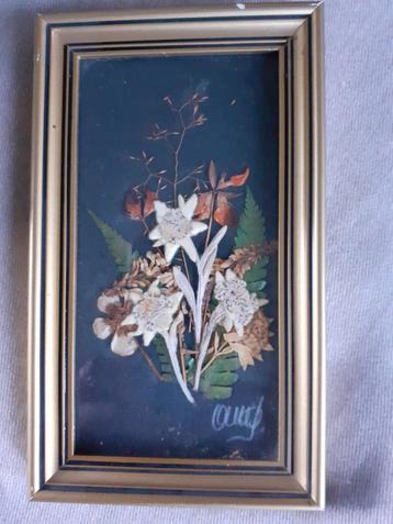 Retro, vintage Droogbloemen boeket "Edelweiss" in lijst beschikbaar voor biedingen