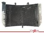 RADIATEUR Honda CBR 600 F 1999-2000 (CBR600F CBR600F4 PC35), Motoren, Gebruikt