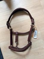 Nieuw Dyon halster soft leather, Dieren en Toebehoren, Paarden en Pony's | Hoofdstellen en Tuigage, Ophalen of Verzenden, Nieuw