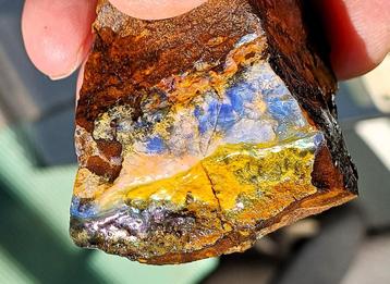 Prachtige, grote, kleurrijke ruwe Boulder Opaal 63 gram beschikbaar voor biedingen