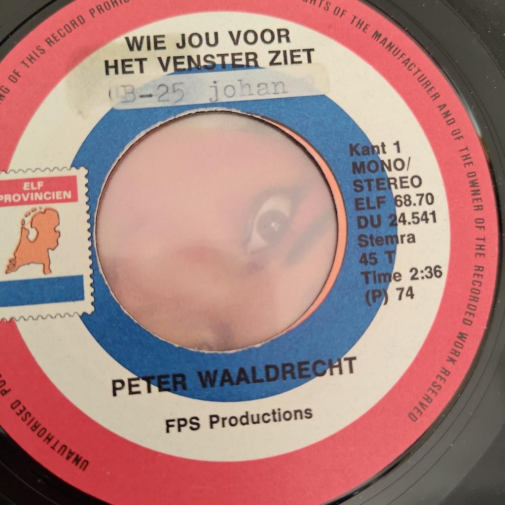 Peter Waaldrecht - Wie Jou Voor Het Venster Ziet - Single, Cd's en Dvd's, Ophalen of Verzenden, 7 inch