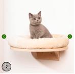 Krabpaal kat wandligbed + krabpaal set - nieuw, Ophalen of Verzenden, Nieuw, Krabpaal