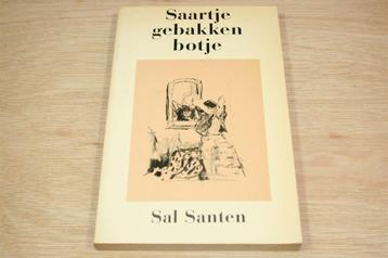 Saartje Gebakken Botje — Sal Santen Roman beschikbaar voor biedingen